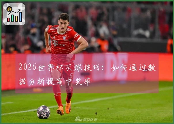 2026世界杯买球技巧：如何通过数据分析提高中奖率