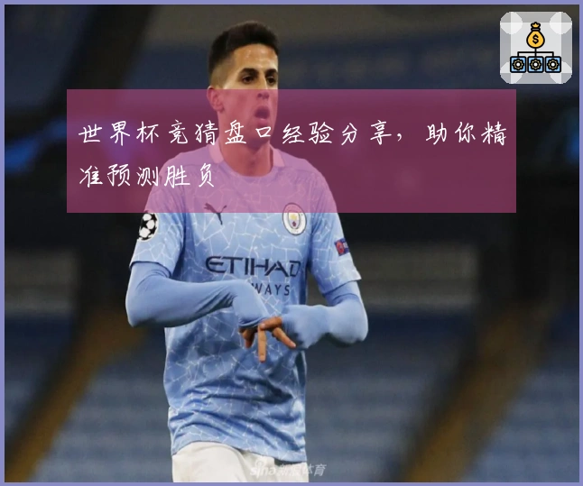 世界杯竞猜盘口经验分享，助你精准预测胜负